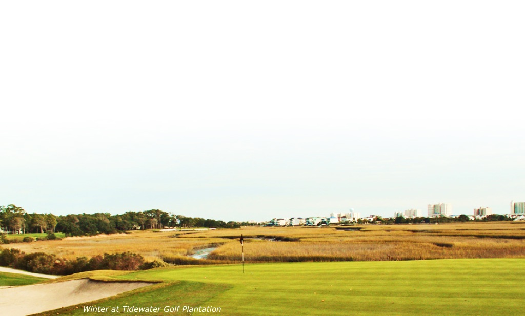 Golf Holidays America